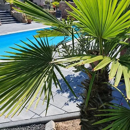 Gæstehus Fba Village